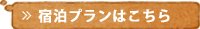 和もだんツイン